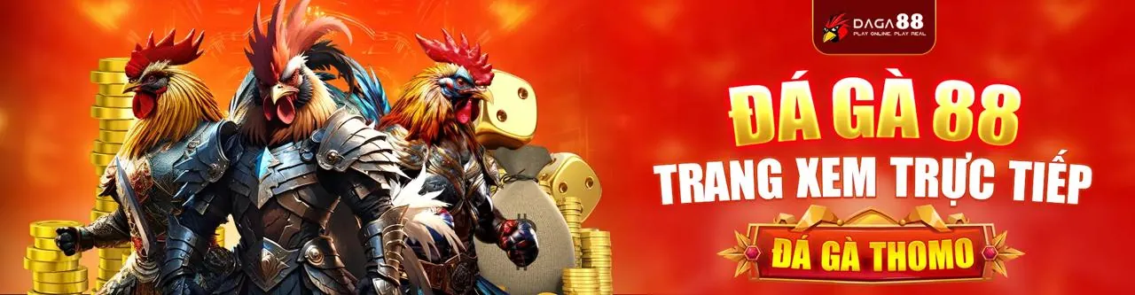 Sân đá gà trực tuyến sôi động tại QQ8 Bắn Cá